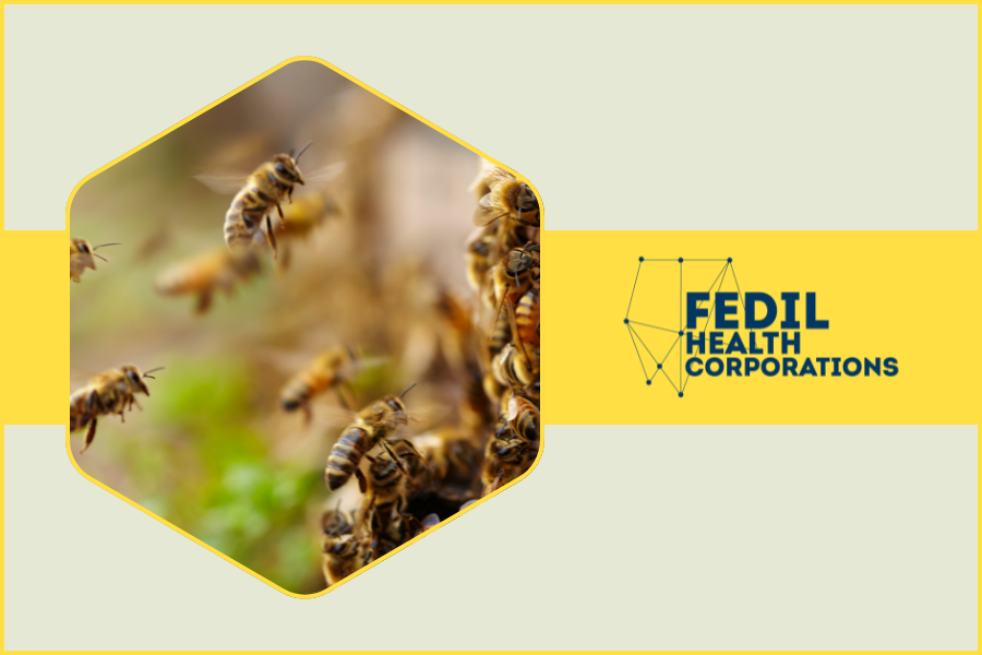 Hive and FEDIL Health Corporations partner for impact